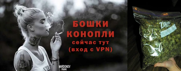 шишки Новокубанск