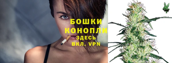 шишки Новокубанск