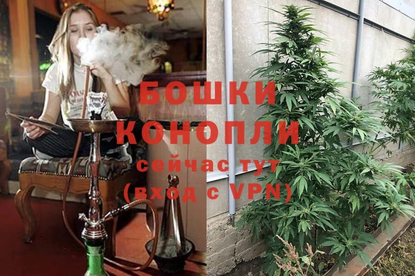 шишки Новокубанск