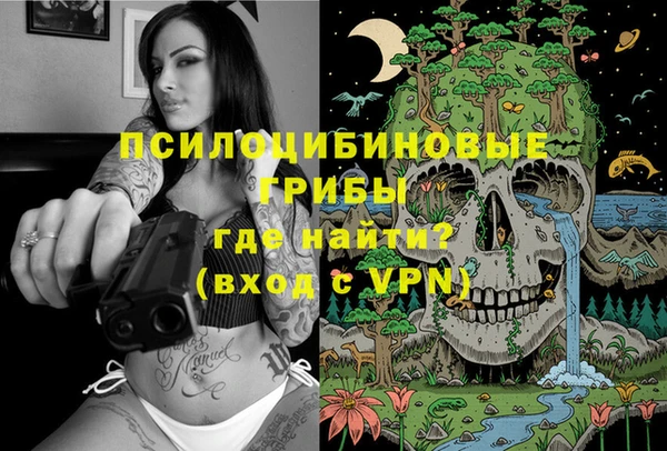 MDMA Новодвинск