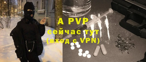винт Новозыбков