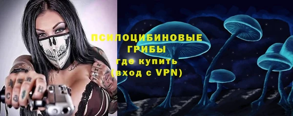 шишки Новокубанск