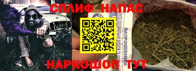 стаф Кандалакша